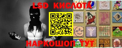 mdpv Камышлов