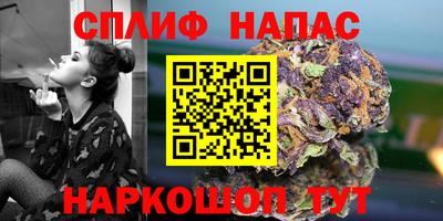 mdpv Камышлов