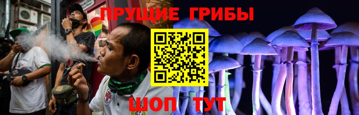 Галлюциногенные грибы Magic Shrooms  Вход с VPN  Кстово  Псилоцибиновые грибы MAGIC MUSHROOMS 